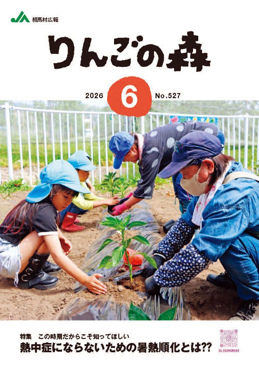 林檎の森　vol.527号
