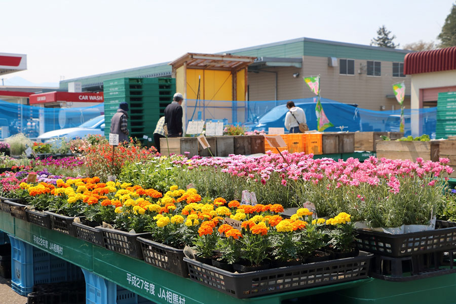 色とりどりの花が並ぶ「花と緑の市」の様子